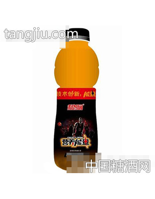 利智园营养能量487ml