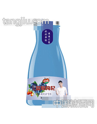 千汁汇蓝莓枸杞阔口装1L