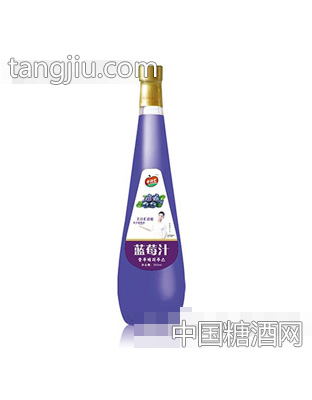 千汁汇蓝莓汁355ml