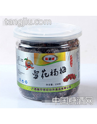 邕滋味雪花杨梅238g