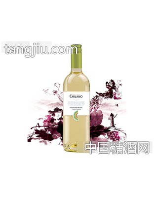 智利人长相思干白进口红酒