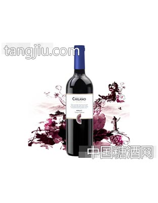 智利人美乐干红进口红酒
