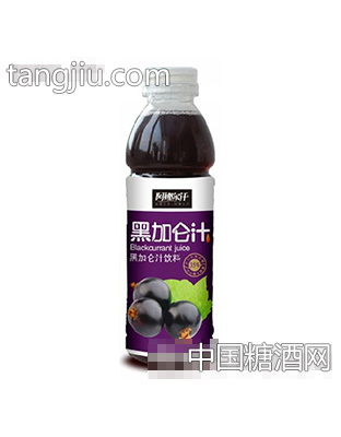 阿娜尔汗黑加仑汁饮料500ml