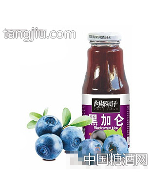 阿娜尔汗黑加仑汁饮料