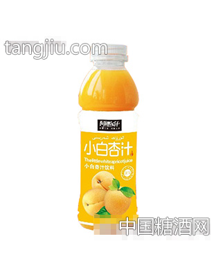 阿娜尔汗小白杏汁饮料500ml