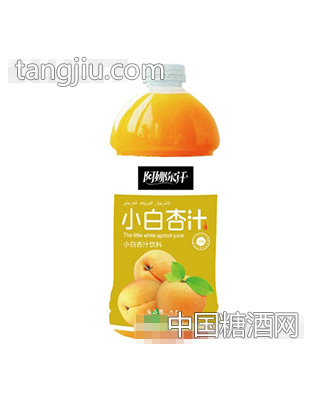 阿娜尔汗小白杏汁2.5l
