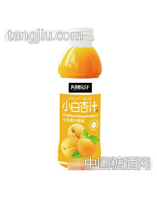 阿娜尔汗小白杏汁500ml