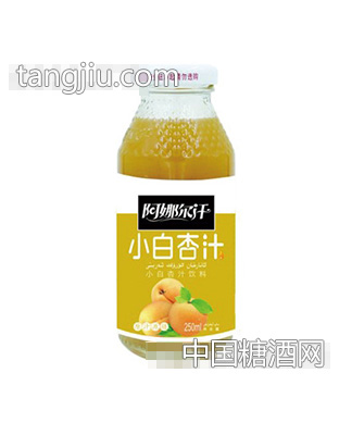 阿娜尔汗小白杏汁250ml