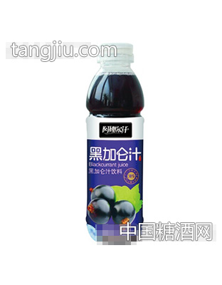 阿娜尔汗黑加仑汁500ml