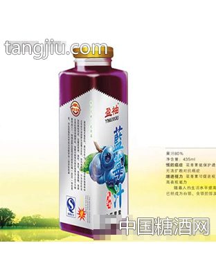 盈袖商务蓝莓汁