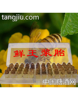 蕊源