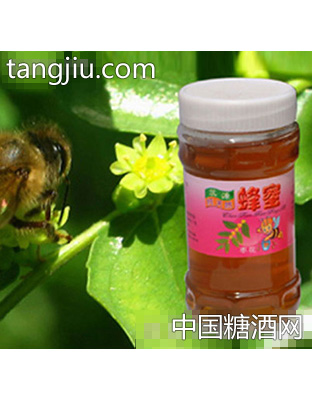 蕊源天然枣花蜂蜜