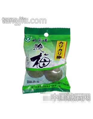如意两粒装青脆梅
