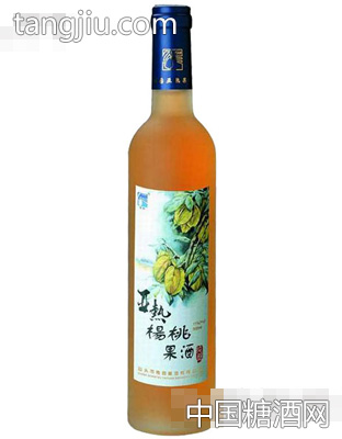 亚热杨桃果酒