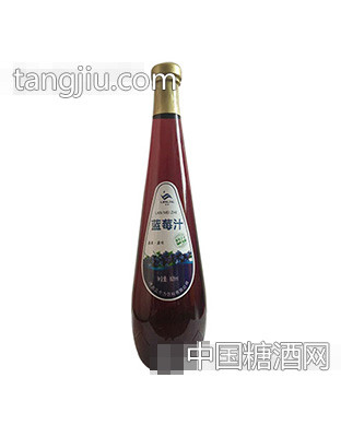 凌特828ml蓝莓汁