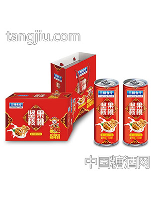 坚果核桃240mlx16罐