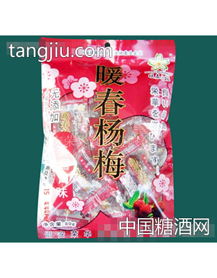 暖春之旅暖春杨梅袋装