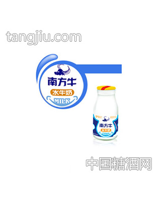 南方牛高钙水牛鲜奶
