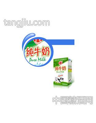 石埠乳业纯牛奶