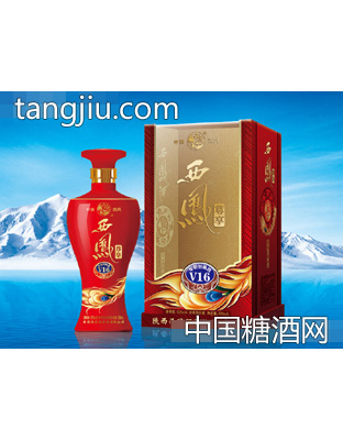 西凤尊享年份封藏V16