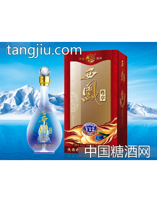 西凤尊享年份封藏V12