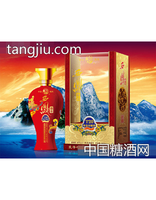 45度年份封藏酒T20