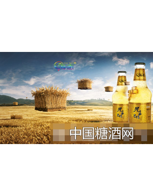 海态兄弟情