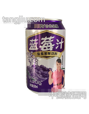 野生蓝莓汁果味饮料320ml