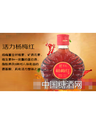 醉青春杨梅酒32度248ml