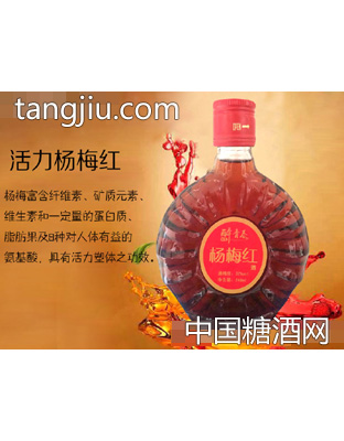 醉青春杨梅酒32度248ml