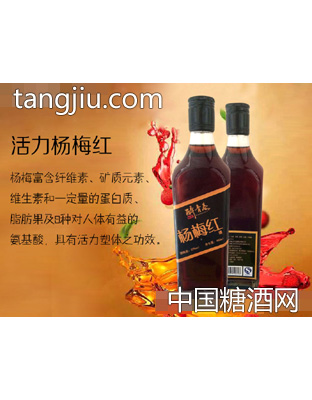 醉青春杨梅酒32度460ml