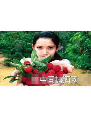 醉青春果酒·杨梅酒原料