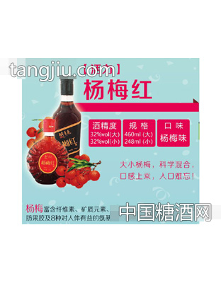 醉青春果酒·杨梅酒海报