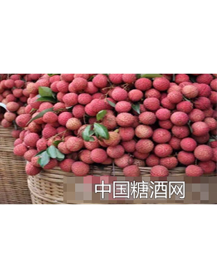 醉青春果酒·酒原料鲜荔枝