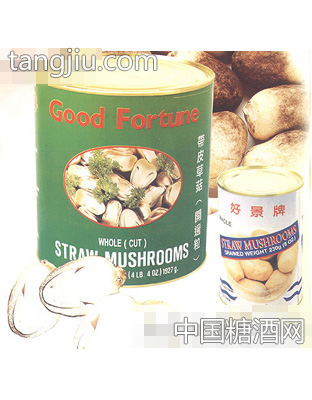 盛记草菇罐头