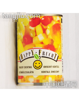 410g糖水什锦罐头
