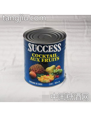 3000g糖水五色什锦罐头