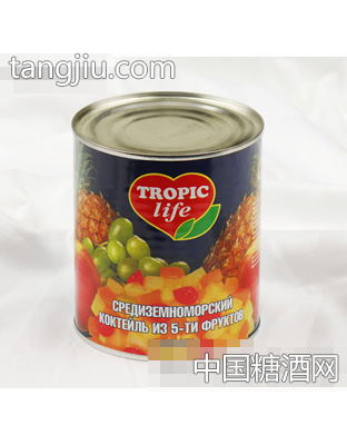 糖水什锦罐头820g
