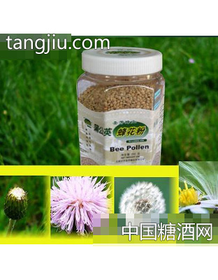 圣芳蒲公英蜂花粉
