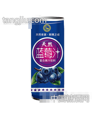 汇之果天然蓝莓汁240ml