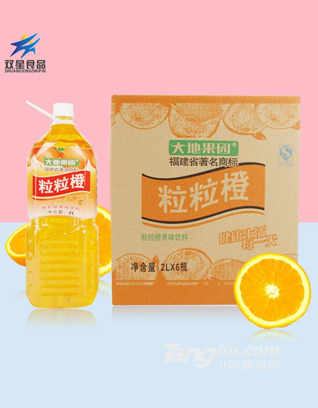 大地果园-粒粒橙饮料-2L