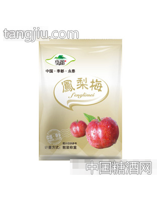 凤梨梅独立小包装