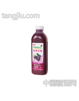 黑莓果肉汁1L（浓缩）