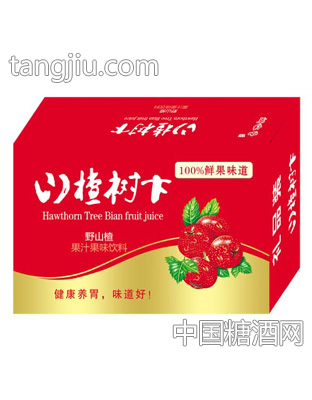 山楂树下野山楂果汁果味饮料（箱）