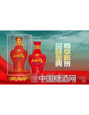 五酿醇酒（绵柔特醇）