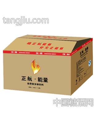 450ml×15瓶正航能量多维饮料
