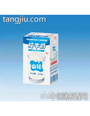 纯牛奶243ml