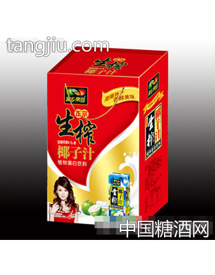 家乡果园生榨椰子汁手提礼盒