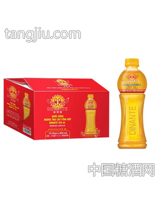 帝南特综合水果味饮料450ml