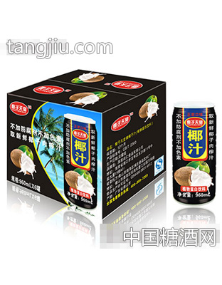 椰子天堂椰汁960mlx6罐